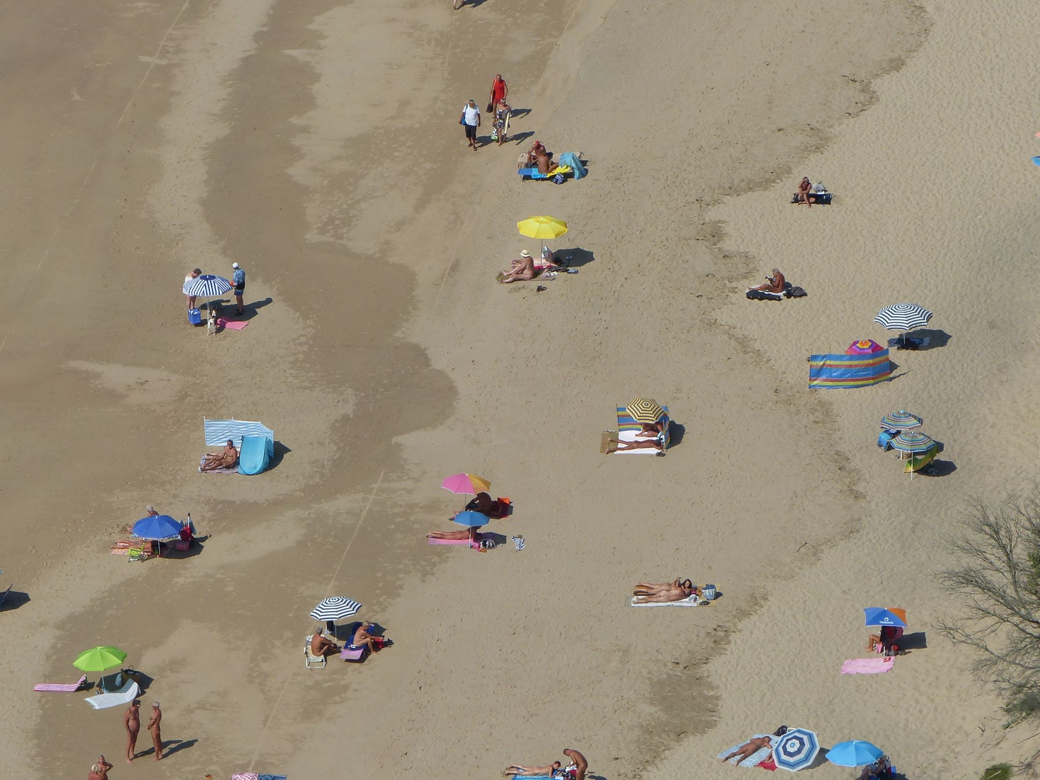 Plage de naturistes P1160943